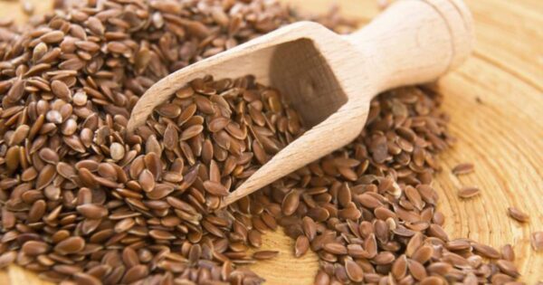 Flax Seeds / Linseed